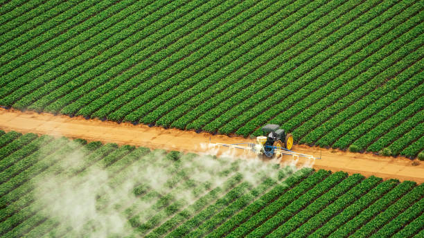 Trusted Fort Clark Springs, TX Pest Control Experts